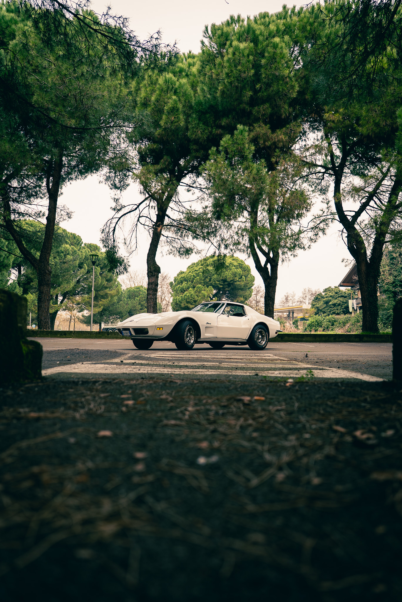Corvette C3 Stingray 1973