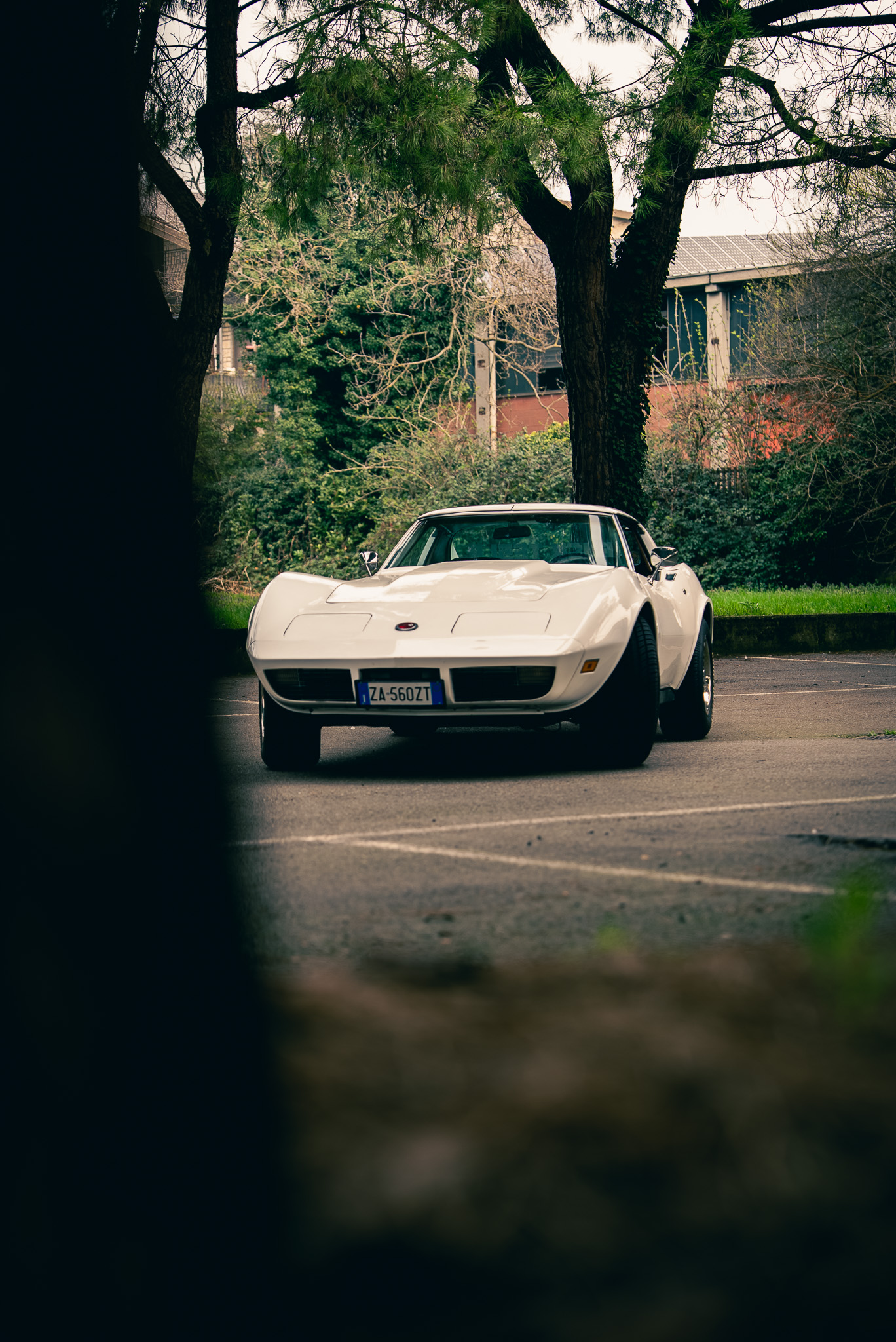 Corvette C3 Stingray 1973