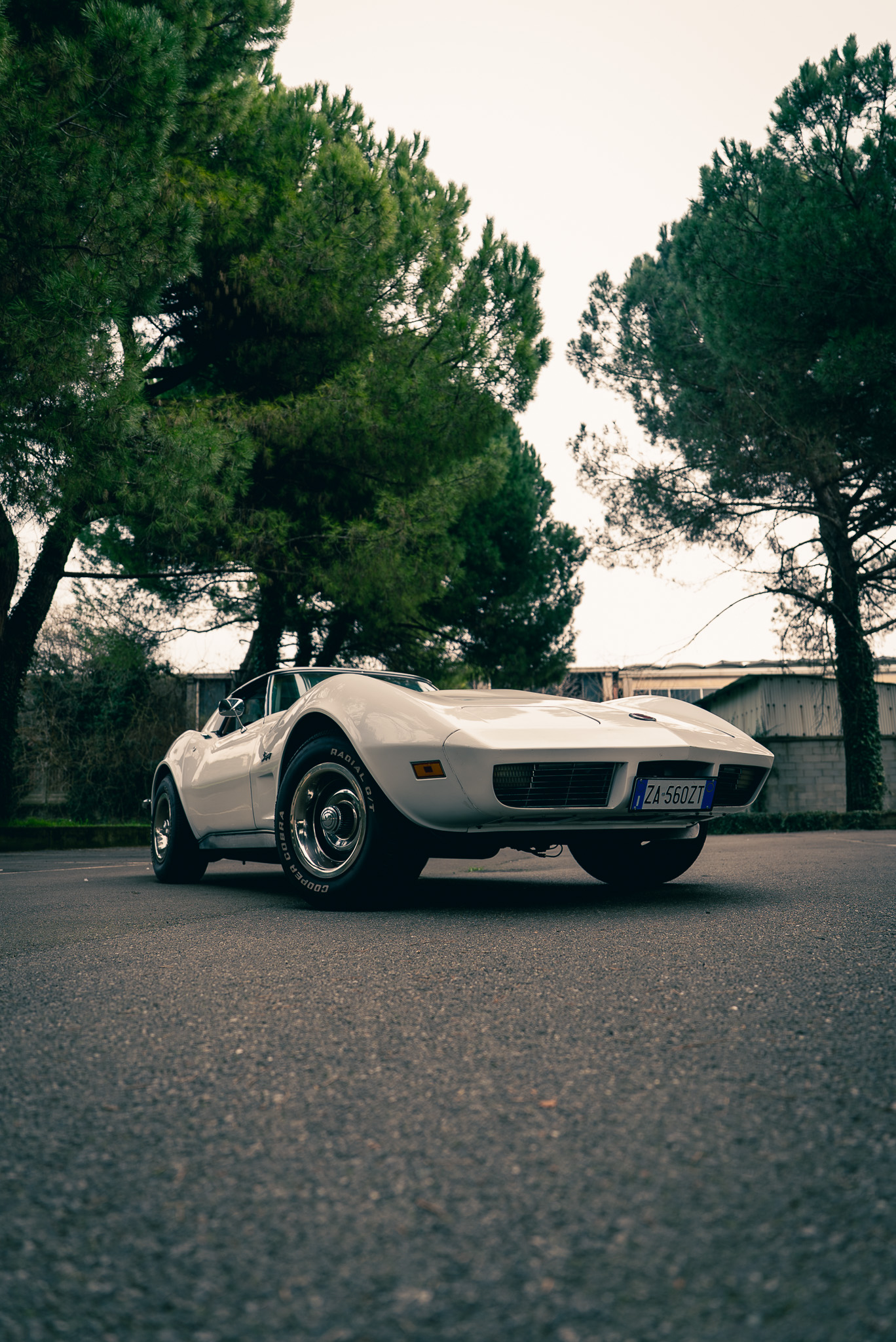 Corvette C3 Stingray 1973