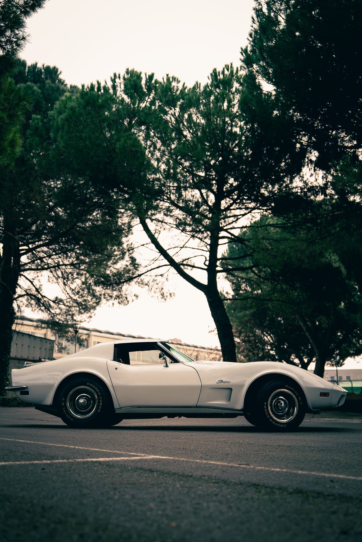 Corvette C3 Stingray 1973