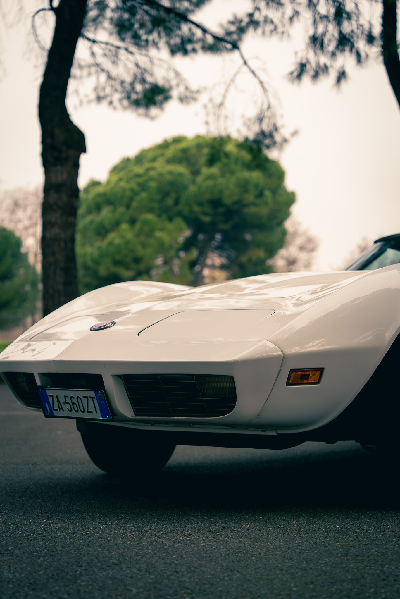 Corvette C3 Stingray 1973